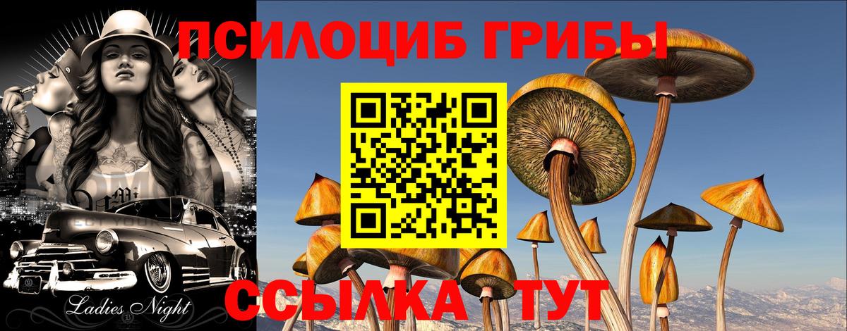 Донской  Галлюциногенные грибы GOLDEN TEACHER  Вход с VPN 