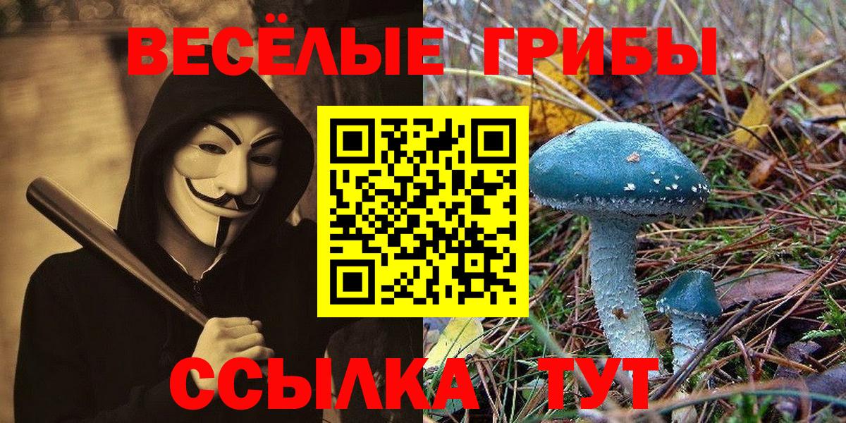 Псилоцибиновые грибы мицелий Донской